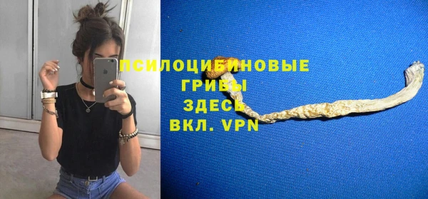 гидра Алзамай