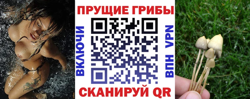 Псилоцибиновые грибы ЛСД хочу наркоту Ликино-Дулёво
